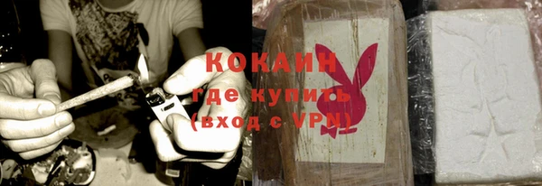 молекула духа Мегион