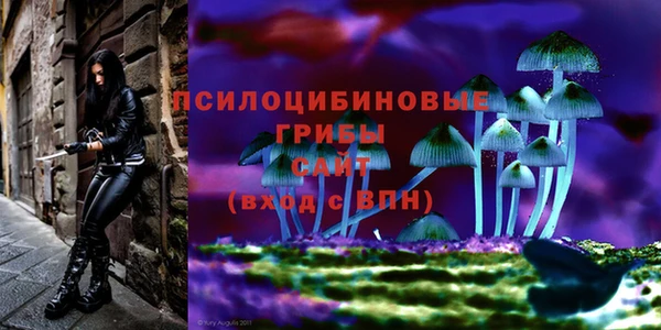 mix Медногорск