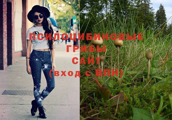 молекула духа Мегион