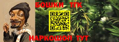 ешки Дубна