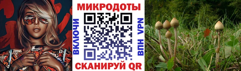 Галлюциногенные грибы ЛСД  что такое   Шуя 