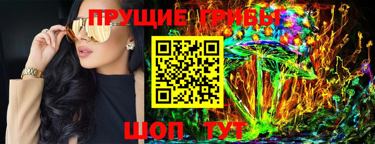 Шуя  Галлюциногенные грибы Cubensis  Галлюциногенные грибы Psilocybe  Вход с VPN 